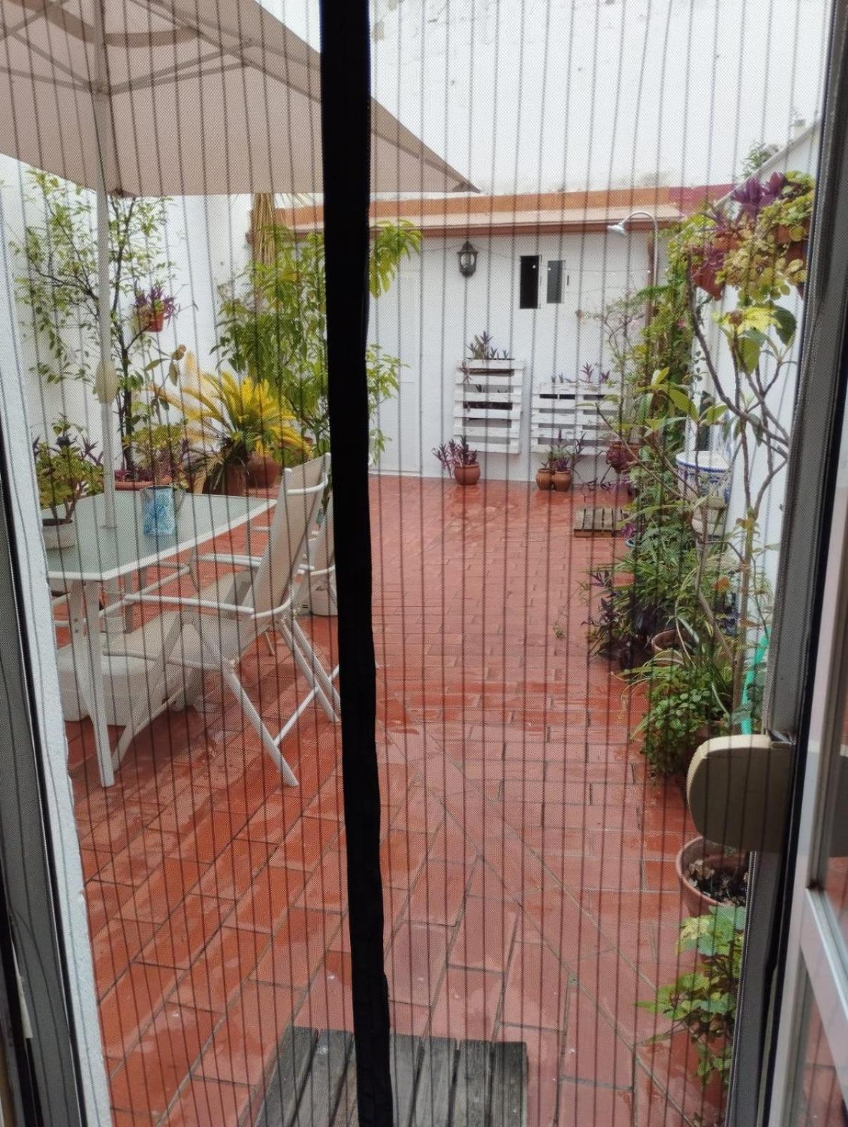 Patios Con Encanto 코르도바 외부 사진