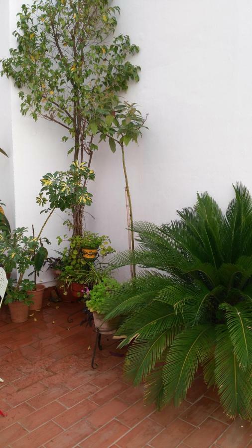 Patios Con Encanto 코르도바 외부 사진
